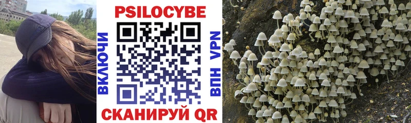 Псилоцибиновые грибы мухоморы  сколько стоит  Биробиджан 